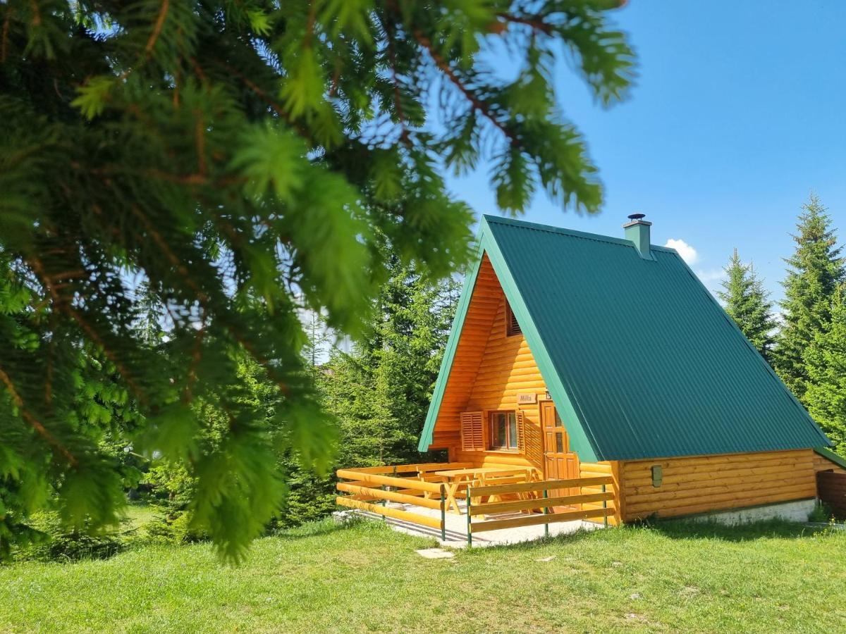 Hedonist Village Žabljak Extérieur photo