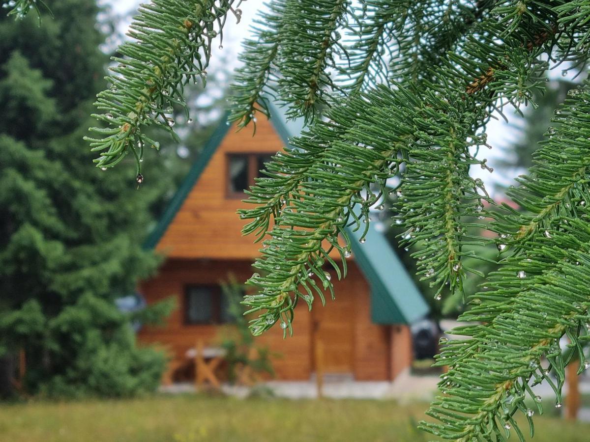 Hedonist Village Žabljak Extérieur photo